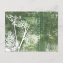 Suche nach vintage samen postkarten Alt