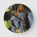 Recherche de vignobles horloges Raisins