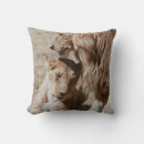 Suche nach zwei kissen Natur