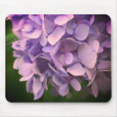 Recherche de pétales tapis souris Floral