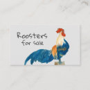Recherche de petit poulet cartes visite Coq