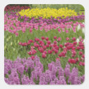 Suche nach narzisse aufkleber Blühen