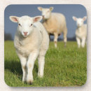 Suche nach voll untersetzer Porträt