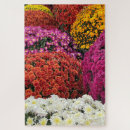 Suche nach chrysantheme puzzle Herbst