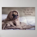 Recherche de drôle de chien posters Animaux