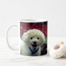 Recherche de caniche français tasses Mother
