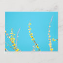 Suche nach forsythia poster Quelle