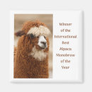Suche nach augenbrauen magnete Humor