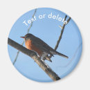 Recherche de rouge gorge magnets Nature