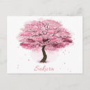 Recherche de sakura cartes postales Printemps