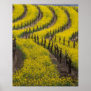 Suche nach napa poster Weingut