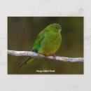 Suche nach seltene postkarten Tier