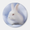 Suche nach weißes häschen magnete Ostern