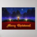 Suche nach kiefernnadeln poster Winter