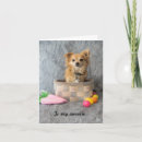 Recherche de note de pâques cartes Chien