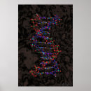 Suche nach genom poster Dna