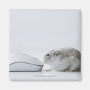 Suche nach computermaus magnete Tier
