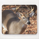 Suche nach dollar mousepads Whitetail