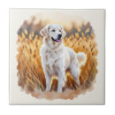 Suche nach jagdhund fliesen Hunde