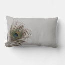 Recherche de paons photographie Plumes de paon