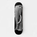 Recherche de taureau skateboards Animal