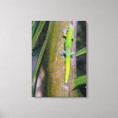 Suche nach gecko leinwandbilder Tropisch