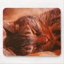 Suche nach free mousepads Katze