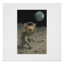 Suche nach moon poster Sterne