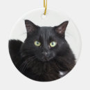 Suche nach schwarze miezekatze ornamente Schwarzes