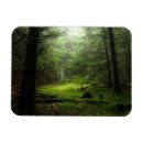 Suche nach wald magnete Natur