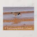 Suche nach seltene postkarten Foto