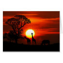 Suche nach african sunset postkarten Sonnenuntergang