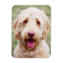 Recherche de souriant magnets Animal