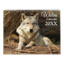 Recherche de loup calendriers Animaux