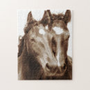 Recherche de cheval puzzles Animal