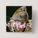 Recherche de nature photo badges Photographie de la nature