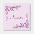 Suche nach kirschblüte magnete Rosa