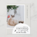 Suche nach lustiges katzen foto postkarten Typografie