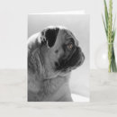 Suche nach mops liebhaber karten Haustiere