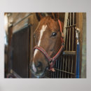 Recherche de barrière art Animal