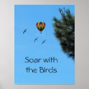 Recherche de chaud posters Oiseaux