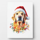 Suche nach golden retriever fotoplatten Wolf