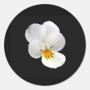 Suche nach abgeschieden aufkleber Weiß