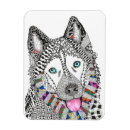 Suche nach alaskischer schlittenhund Sibirischer husky