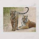 Suche nach bengalen postkarten Indien