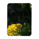 Suche nach die natur magnete Blume