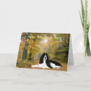 Recherche de springer spaniel vœux cartes Espagne de springer anglais