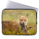 Suche nach kite laptop schutzhüllen Wild lebende tiere