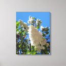 Suche nach lila baum leinwandbilder Blume
