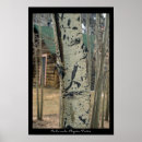 Suche nach cabin poster Natur